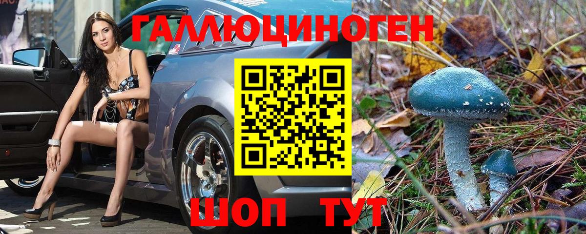 Великие Луки  сколько стоит  Вход с VPN  Галлюциногенные грибы мухоморы 